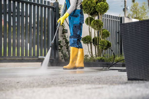 Best Garage Pressure Washing  in Lasalle, IL