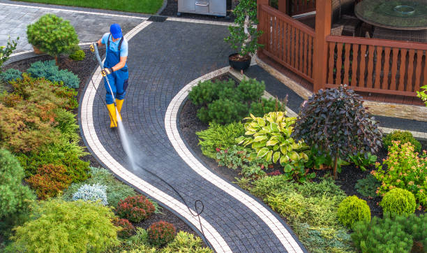 Best Best Pressure Washing Companies  in Lasalle, IL